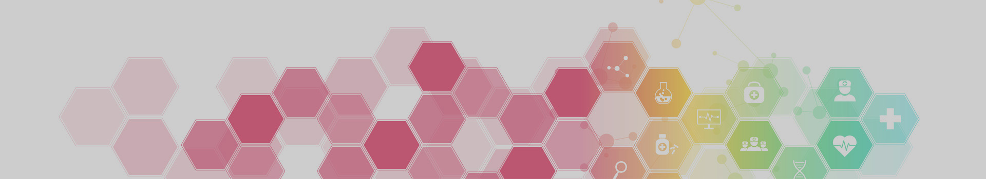 華日簡(jiǎn)介 華日簡(jiǎn)介